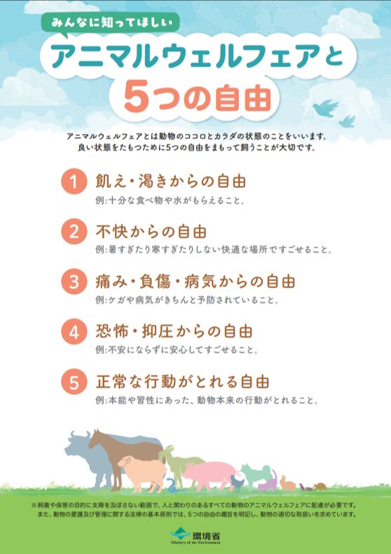 環境省が示す動物愛護管理法と適切な飼育・管理の案内ページ